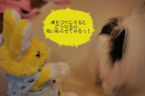 091DSC04198