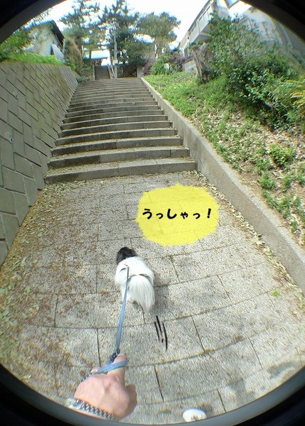 0000P1170592-crop