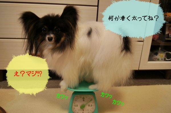 03DSC05459