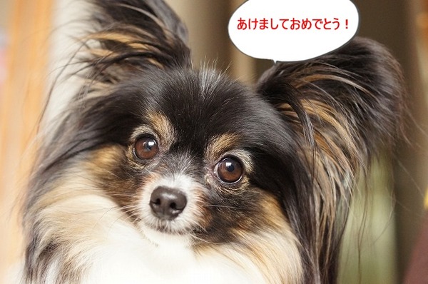 05DSC07291