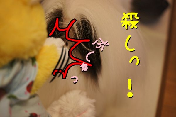 093DSC04202