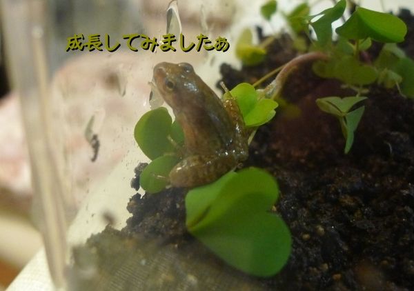 02名称未設定-2