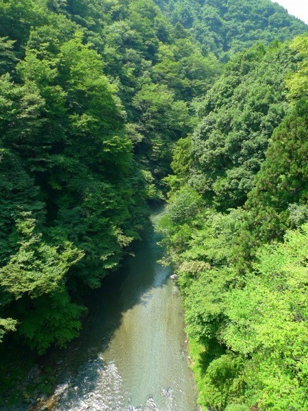 P1130867