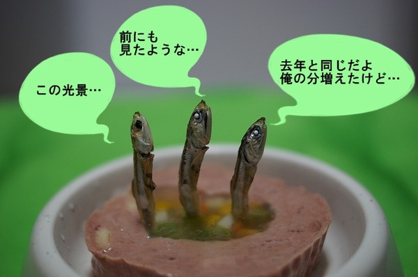 08DSC07620