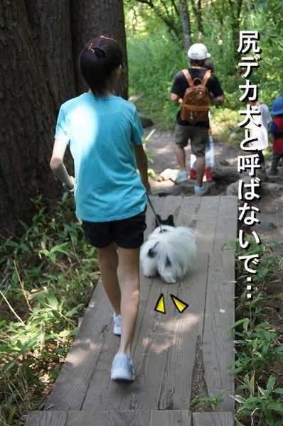 092DSC07875