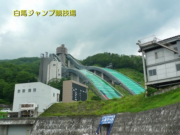 0800P1200106
