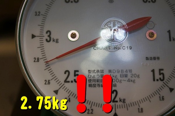 01DSC08135