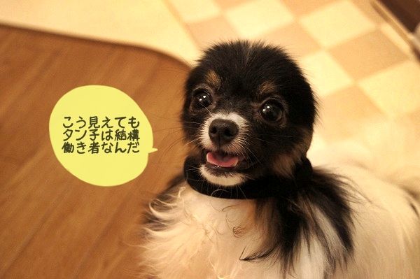 005DSC01820