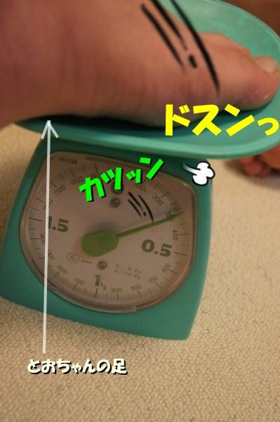 07DSC05522
