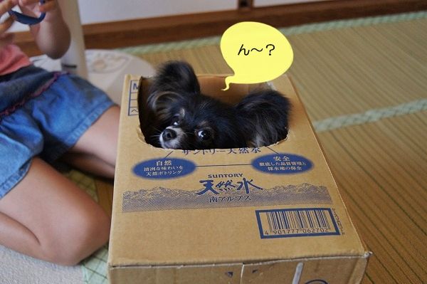 02DSC01095