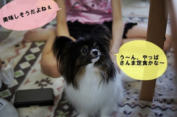 011DSC08746