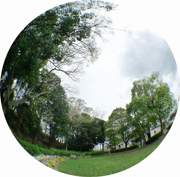 22P1170611-crop