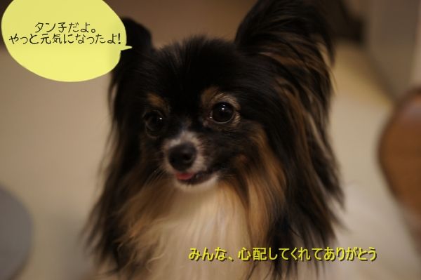 00DSC06815