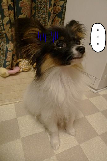BlogPaint