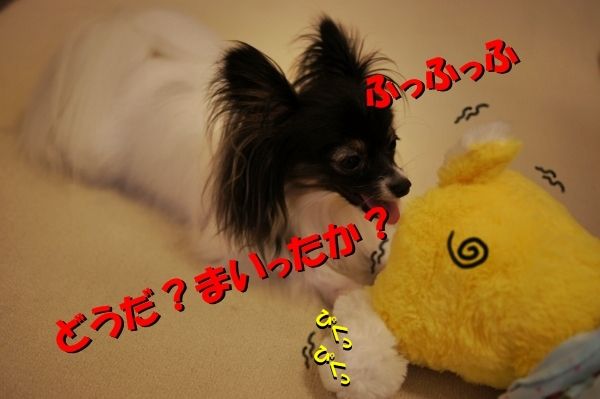 08DSC04251
