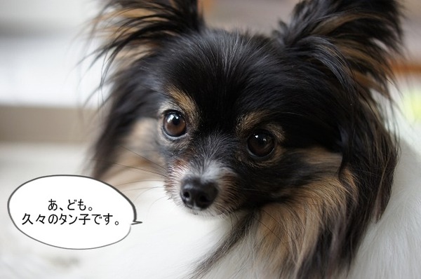 02DSC07277