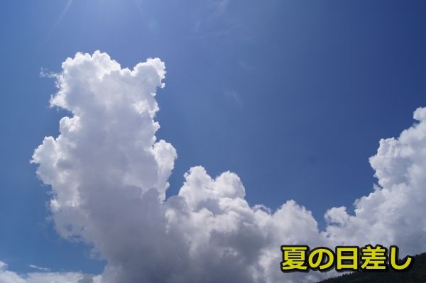 098DSC07152
