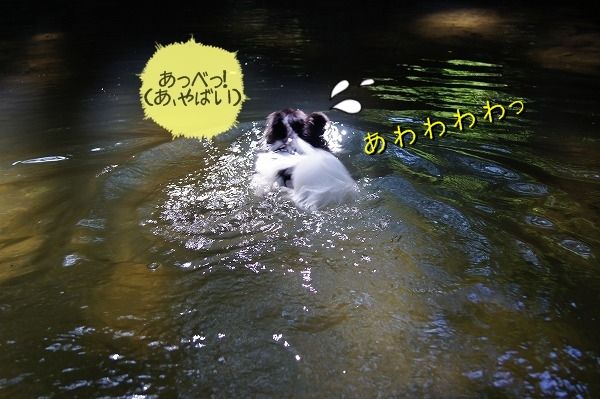 04DSC02204