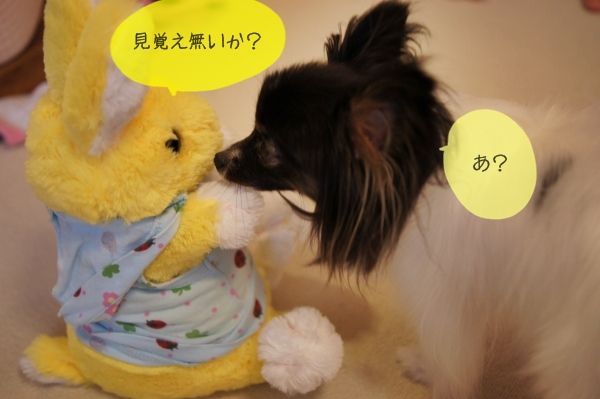 04DSC04194