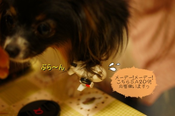 00DSC02928
