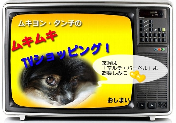 09tv-muki99