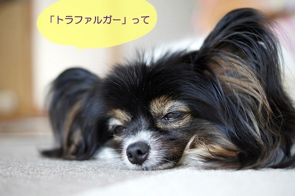 06DSC08010