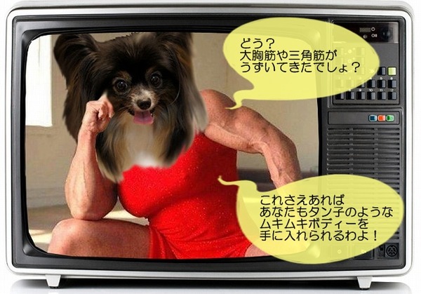08tv-muki2