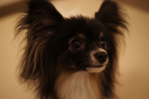 DSC03227
