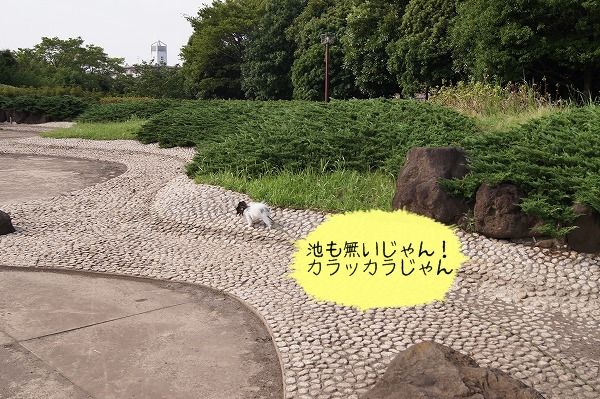 08DSC01246