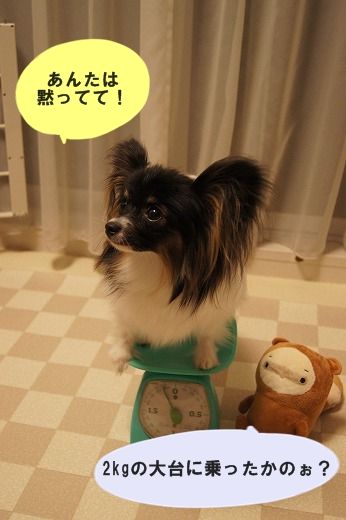 02DSC00668