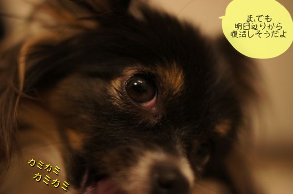 092DSC03090