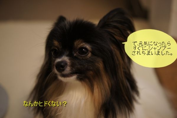 01DSC06814
