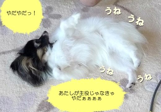 432名称未設定-1