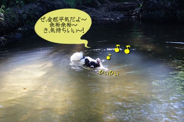 07DSC02208