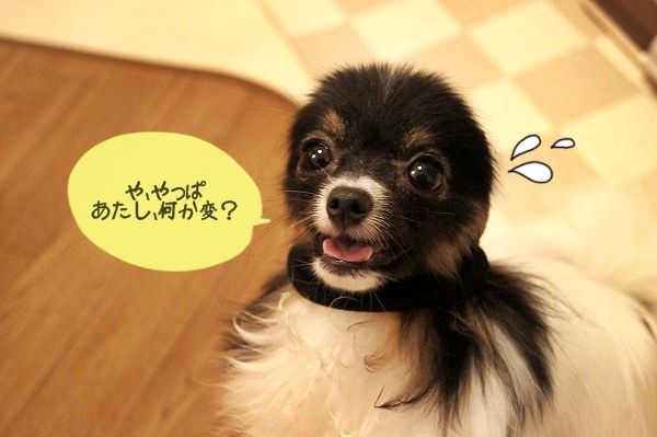 008DSC01820
