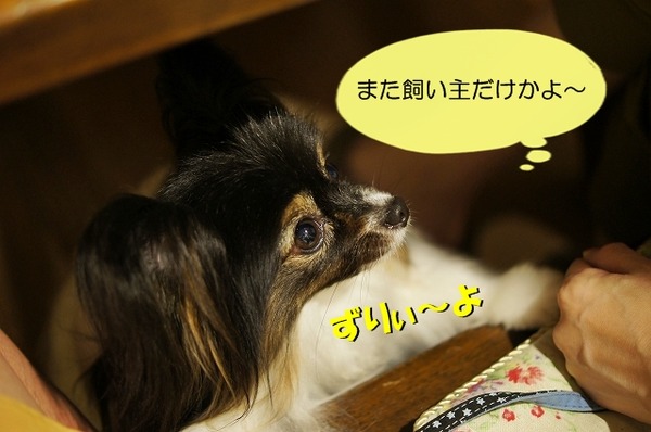 0960DSC09018