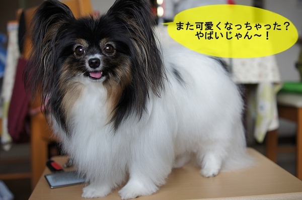 09DSC07676