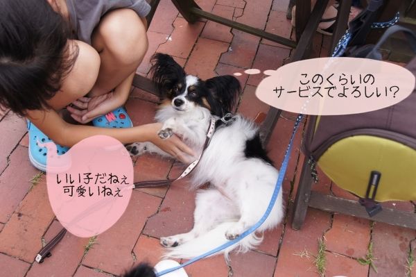 05DSC06876