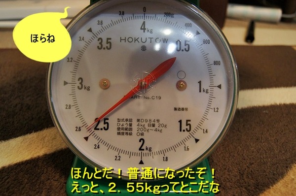 04DSC07462