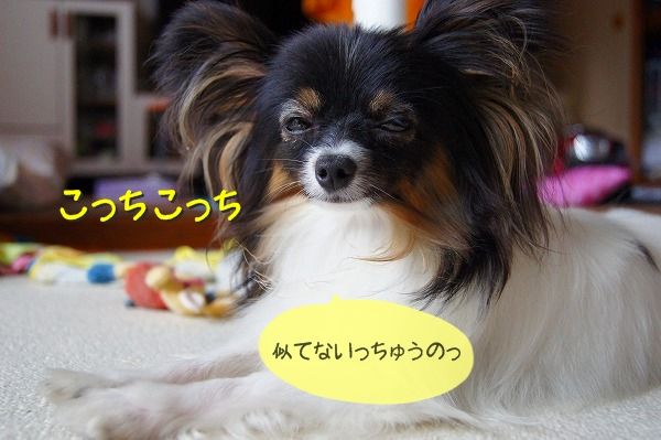 01DSC02344