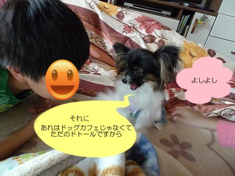 BlogPaint
