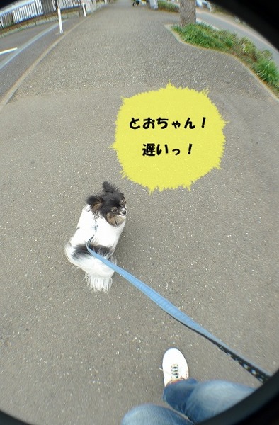 0000P1170596-crop