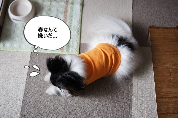 05DSC07340
