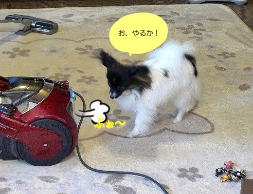 1名称未設定-1