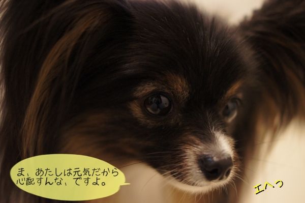 08DSC06558