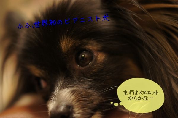 06DSC05053