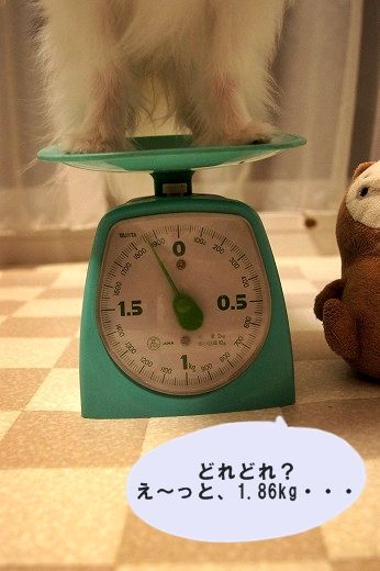 03DSC00670