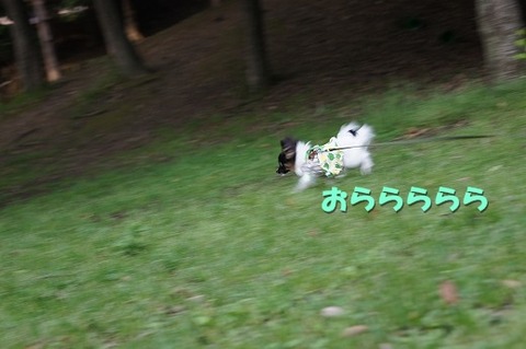 6DSC00190