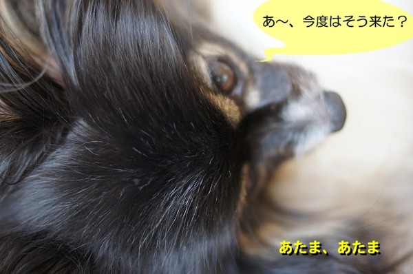 07DSC08067