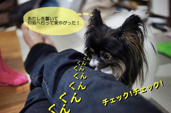 091DSC08393